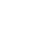 组织概况